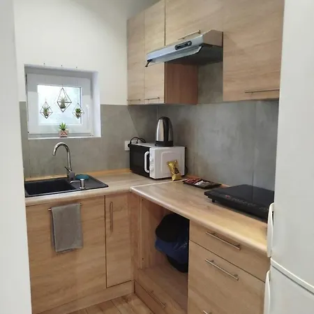 Apartamenty Scinawa Scinawa