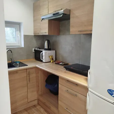 Apartamenty Scinawa * Ścinawa